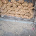 Petani di Kec. Kertasari Kab. Bandung Merasa Tertipu Atas Sistem Kontrak Penanaman Kentang