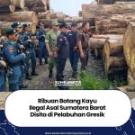 Gakkum Kemenhut Sita Ribuan Kayu Ilegal Kerugian Negara Capai Rp. 447 M