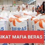 Wapres Gibran Tegur Mentan Amran, Hanya Karena Sikat Mafia Beras, Ada Apa ?