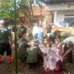 Paguyuban Wartawan Ciparay Gelar Qurban 1 ekor sapi dan 2 ekor kambing