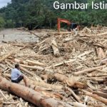 Bencana Jadi Ajang “Pencitraan Dan Kebohongan Pejabat, ” Tanpa memberi Solusi Yang Tepat